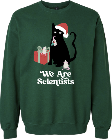 We Are Scientists | The Holiday Jumper