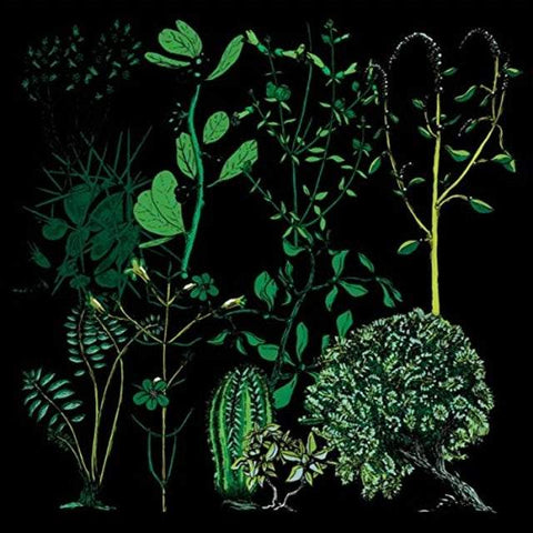 Campdogzz - In Rounds Album Artwork is an illustration made up of green plants with a black background
