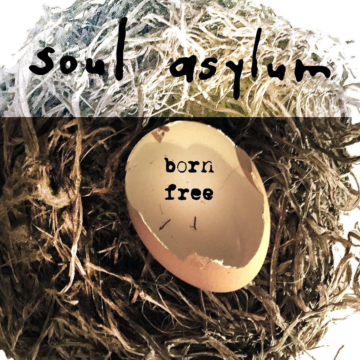Soul Asylum | Born Free LP