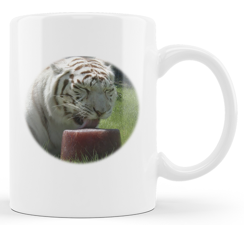 Aiden Arata | Wild Cat Mug