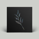The Album Leaf | An Orchestrated Rise To Fall - LP
