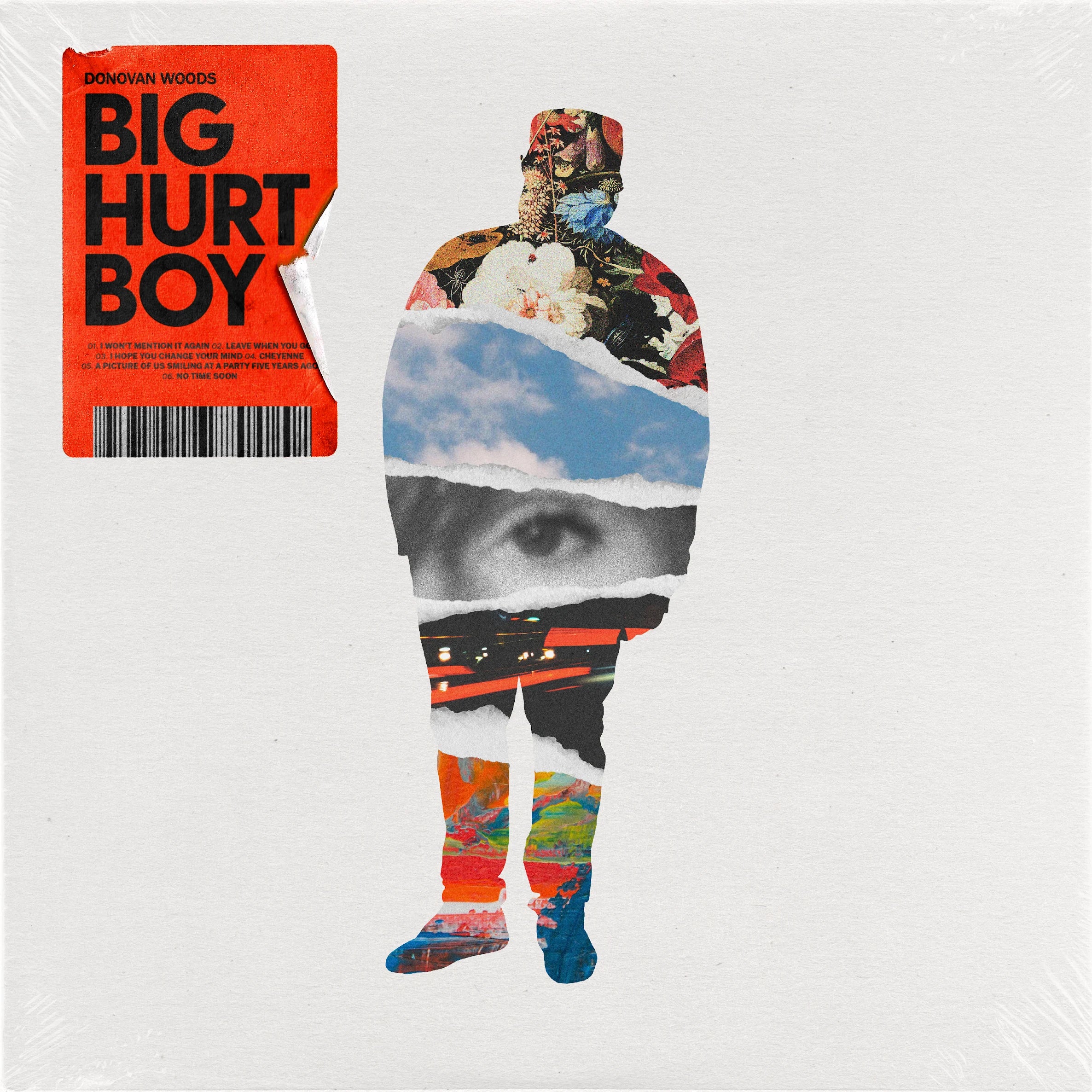 Donovan Woods | Big Hurt Boy CD