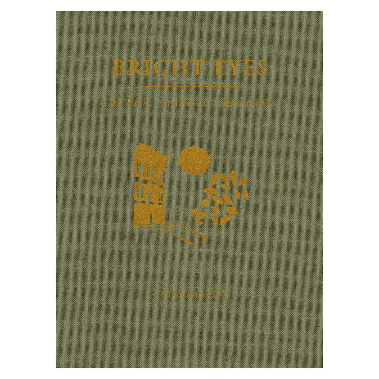 Bright Eyes | I'm Wide Awake, It's Morning Screenprinted Poster
