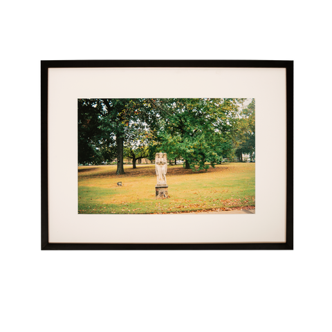 Kevin Morby | Angel Statue - Framed Photo