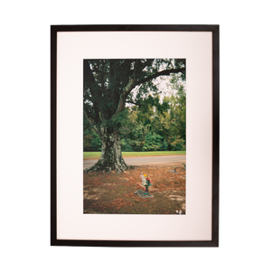 Kevin Morby | Chris Bell Grave and Tree - Framed Photo With Custom Art *PREORDER*