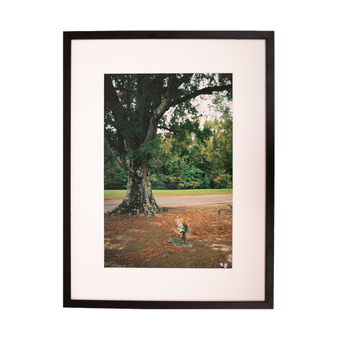 Kevin Morby | Chris Bell Grave and Tree - Framed Photo With Custom Art *PREORDER*