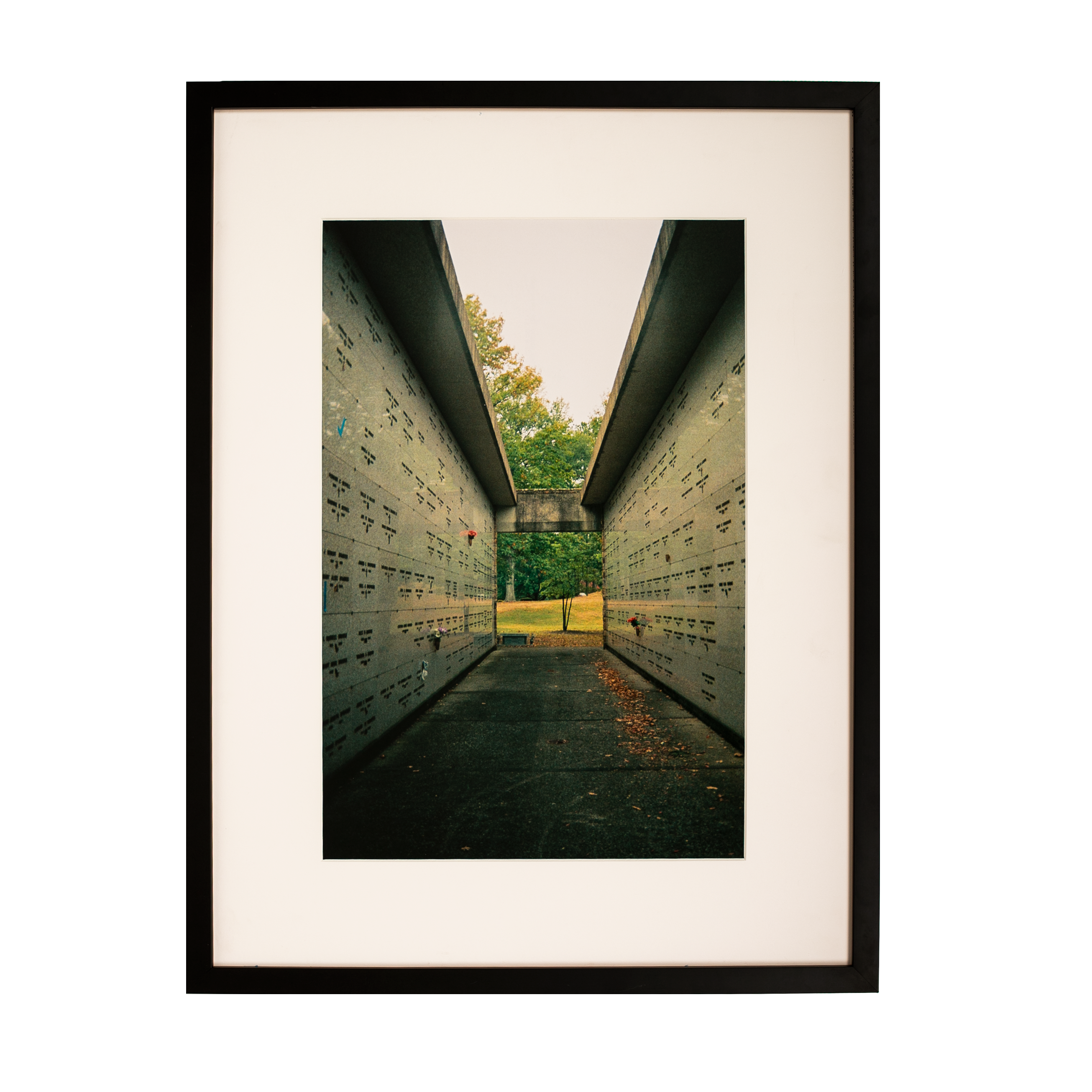 Kevin Morby | Masseluem - Framed Photo