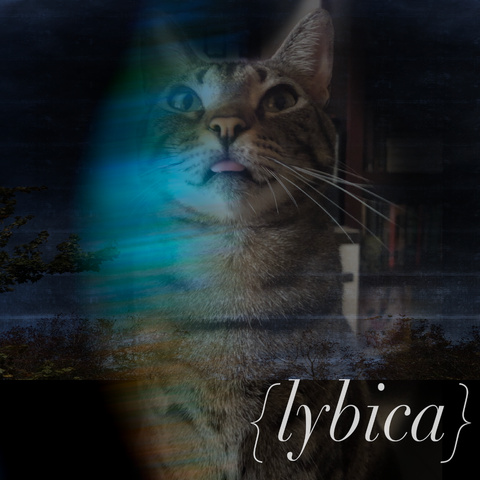 Lybica | Self Titled CD