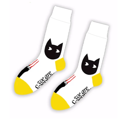 We Are Scientists | Socks