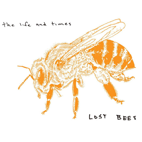 The Life and Times | Lost Bees